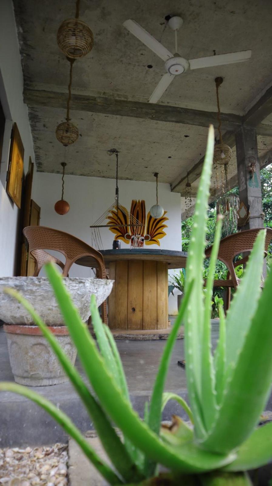 Julianu Hotel Tangalle Exterior photo